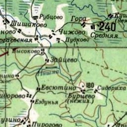 Чижово на карте